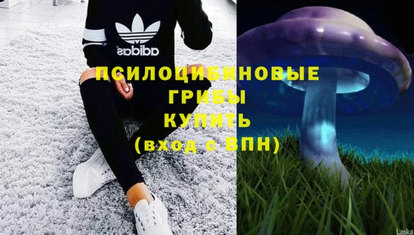 хмурый Магас