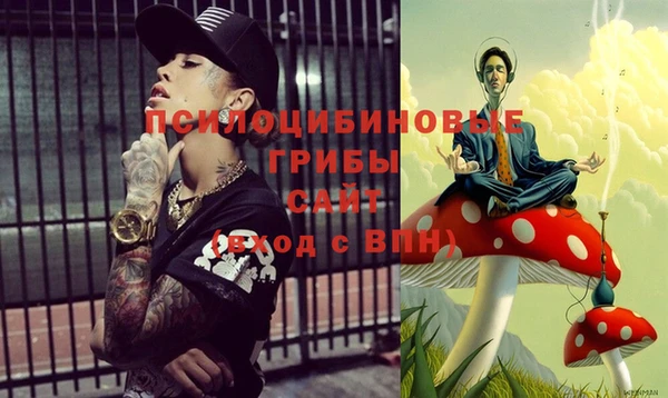 бошки Медногорск